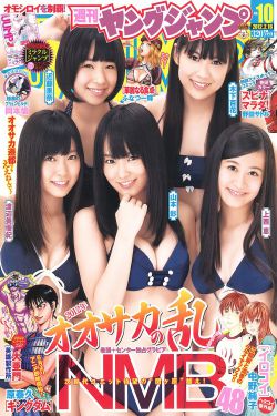 乘风破浪2024在线观看免费完整版